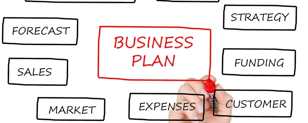 Business Plan Development